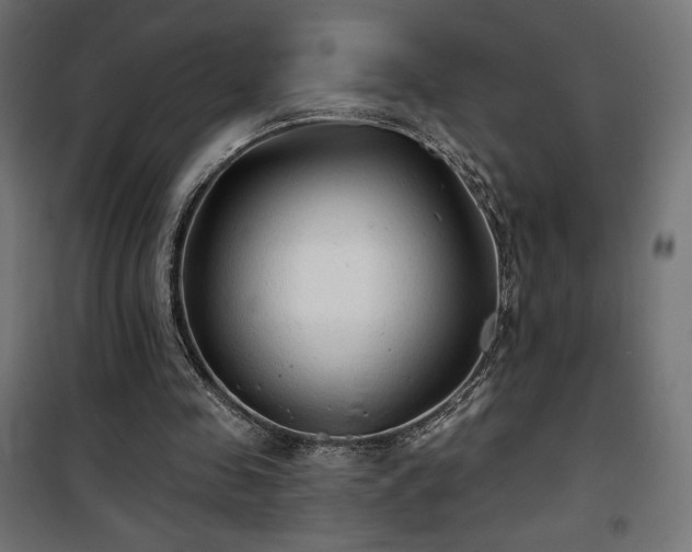 X0000101470341200807141356