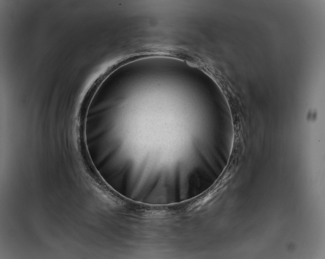 X0000101470342200807141356