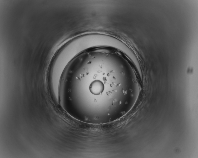 X0000101470344200807141356