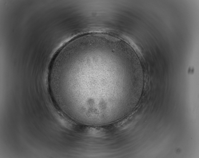 X0000101470346200807141356