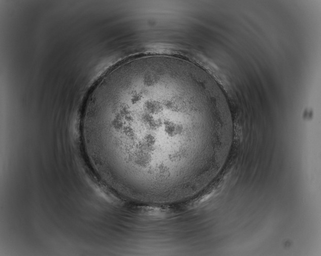 X0000101470347200807141356