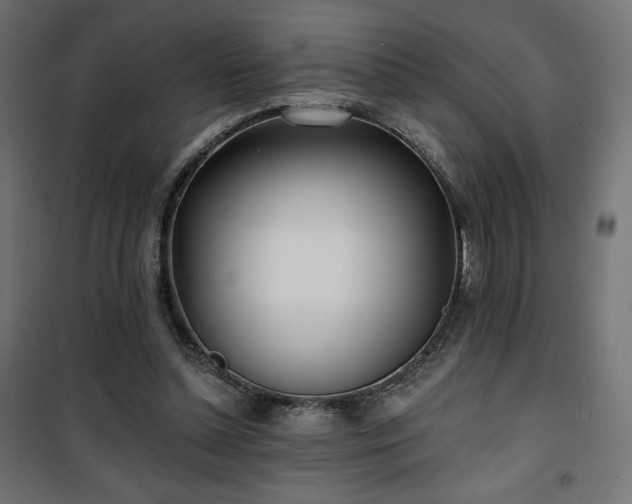 X0000101470348200807141356