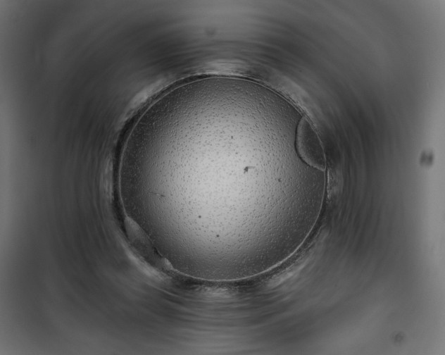 X0000101470349200807141356