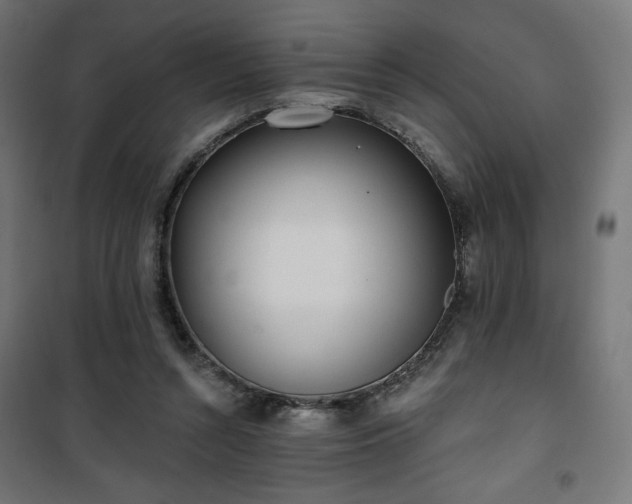 X0000101470352200807141356