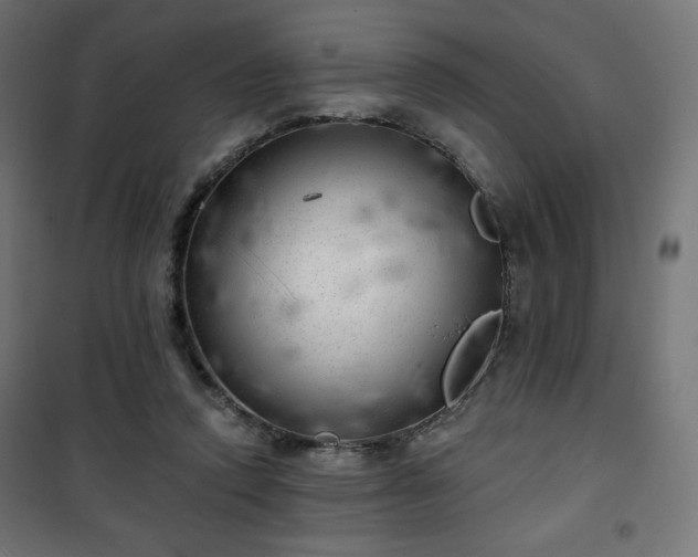 X0000101470354200807141356