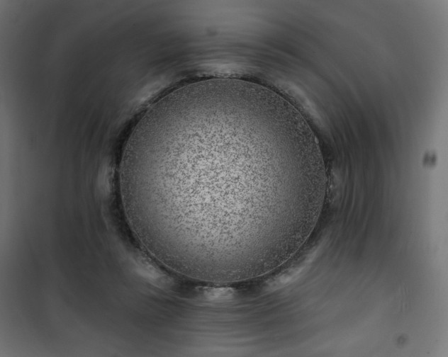 X0000101470355200807141356