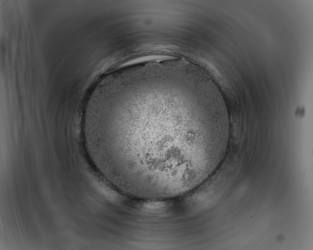 X0000101470357200807141356