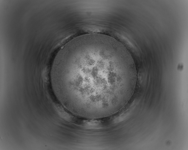 X0000101470359200807141356