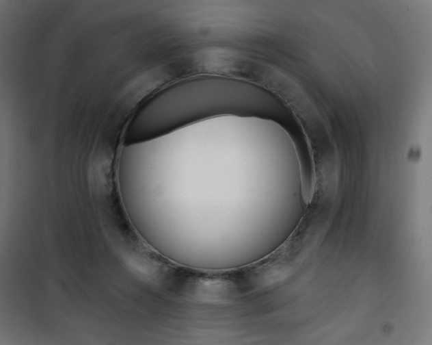 X0000101470360200807141356