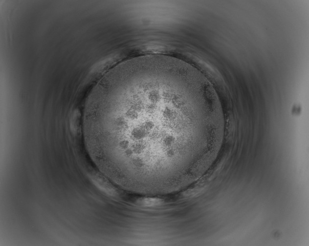 X0000101470361200807141356