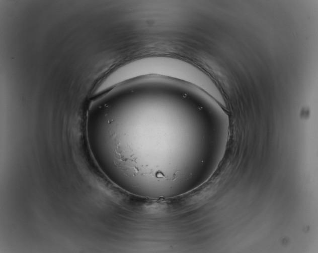 X0000101470362200807141356