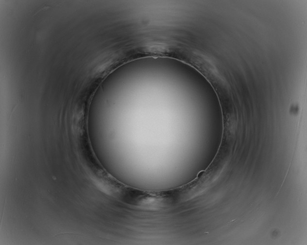 X0000101470364200807141356