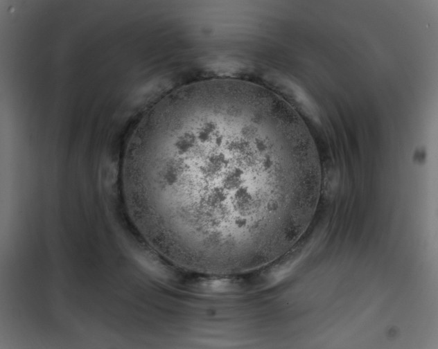 X0000101470365200807141356