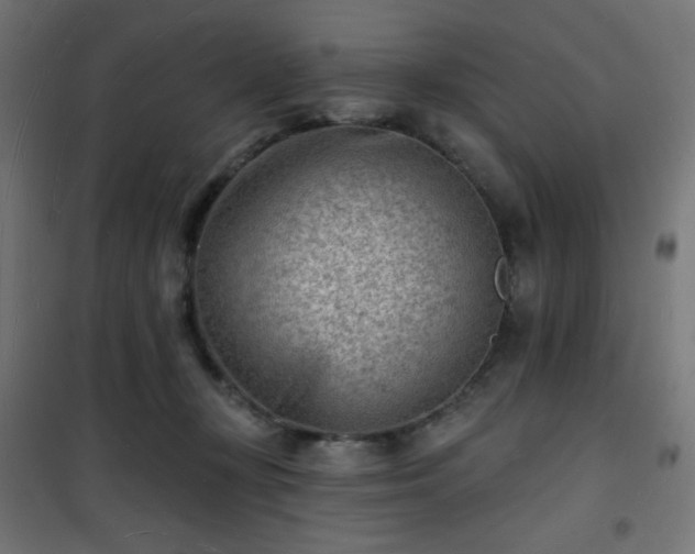 X0000101470367200807141356