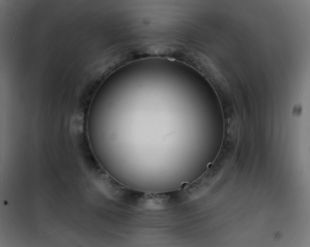 X0000101470368200807141356