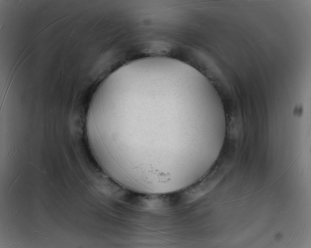 X0000101470370200807141356