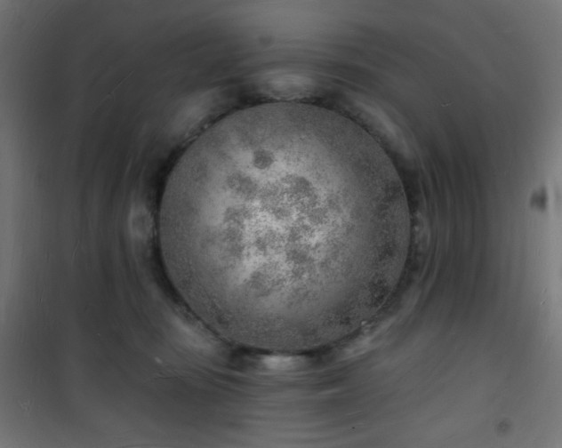 X0000101470371200807141356