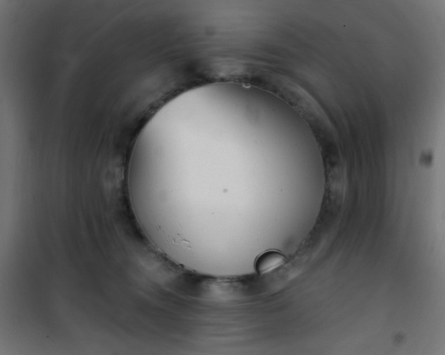 X0000101470372200807141356