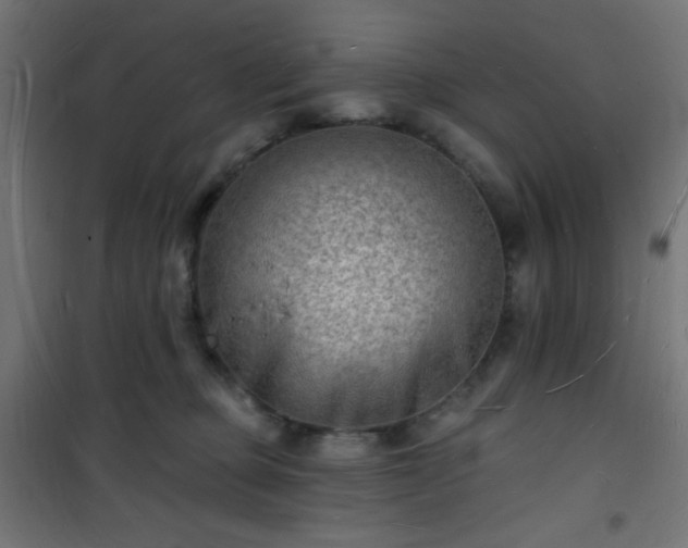 X0000101470373200807141356