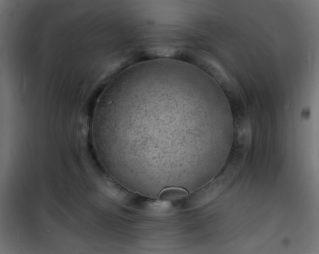 X0000101470374200807141356