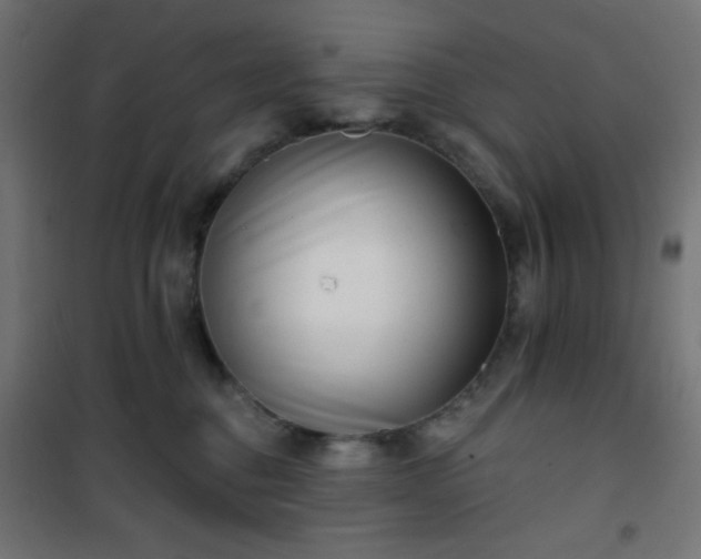 X0000101470376200807141356