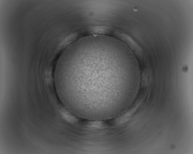 X0000101470377200807141356