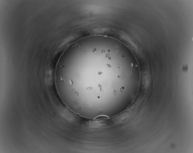 X0000101470378200807141356