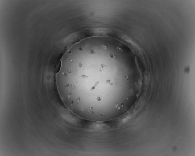 X0000101470379200807141356