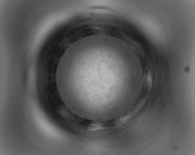 X0000101470381200807141356