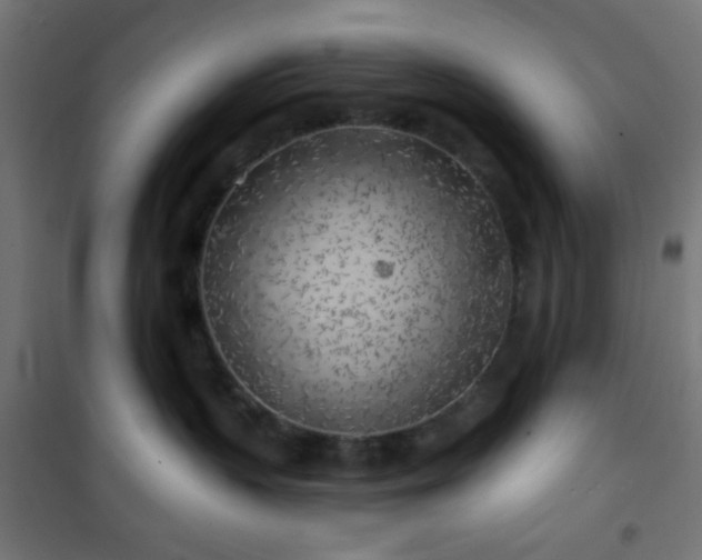 X0000101470383200807141356