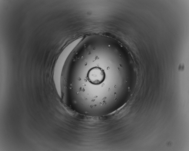 X0000101470384200807141356