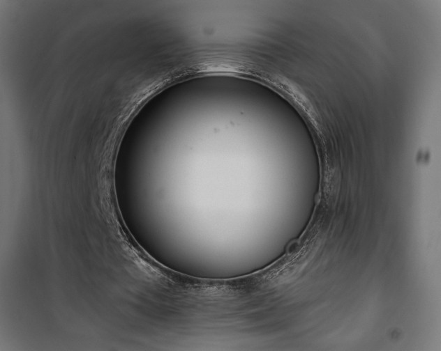 X0000101470385200807141356