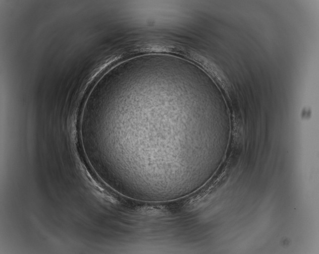 X0000101470386200807141356