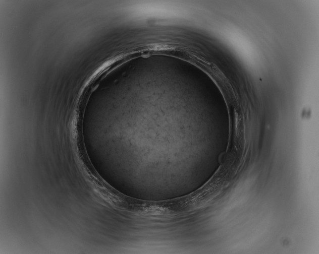 X0000101470387200807141356