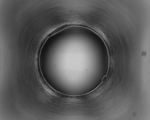 X0000101470389200807141356