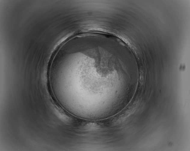 X0000101470390200807141356