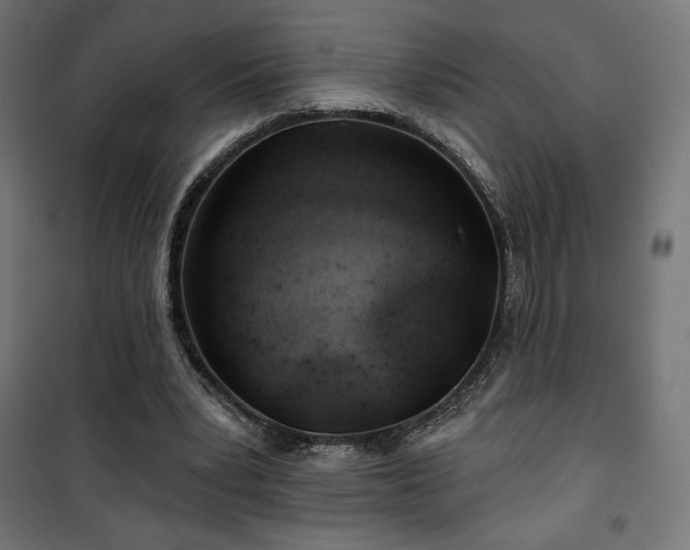 X0000101470391200807141356