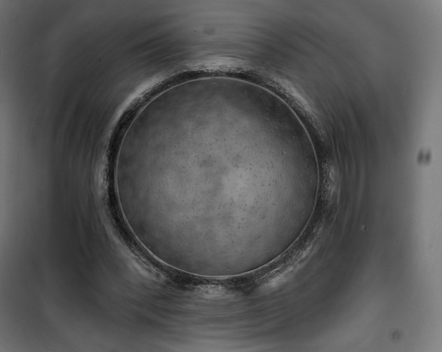 X0000101470392200807141356