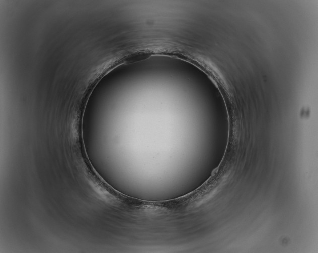 X0000101470393200807141356