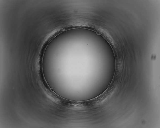 X0000101470395200807141356