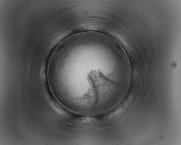 X0000101470398200807141356