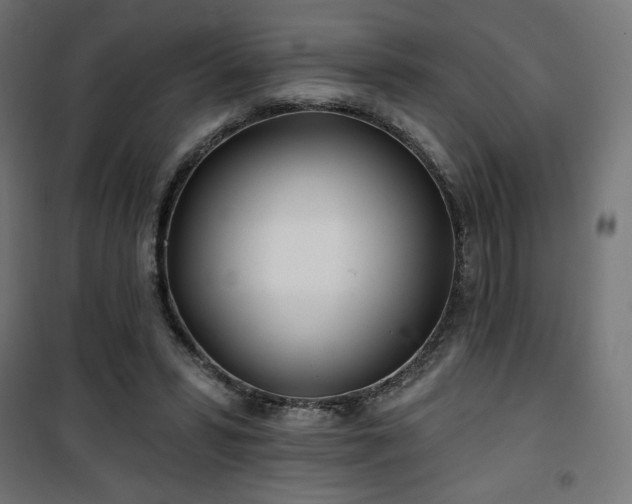 X0000101470399200807141356