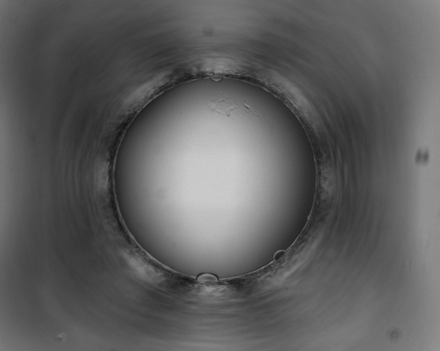 X0000101470401200807141356