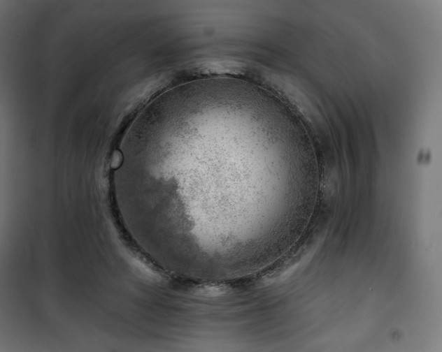 X0000101470402200807141356