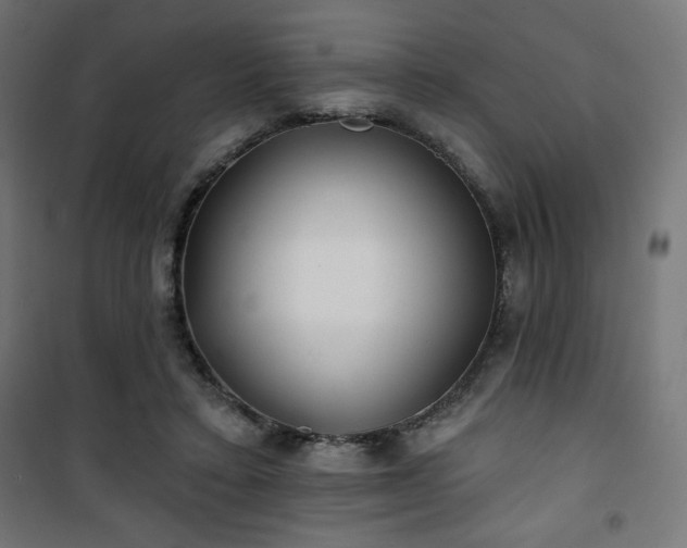 X0000101470403200807141355