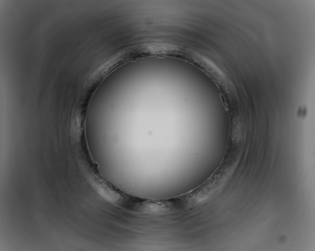 X0000101470405200807141355