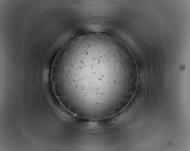 X0000101470406200807141355