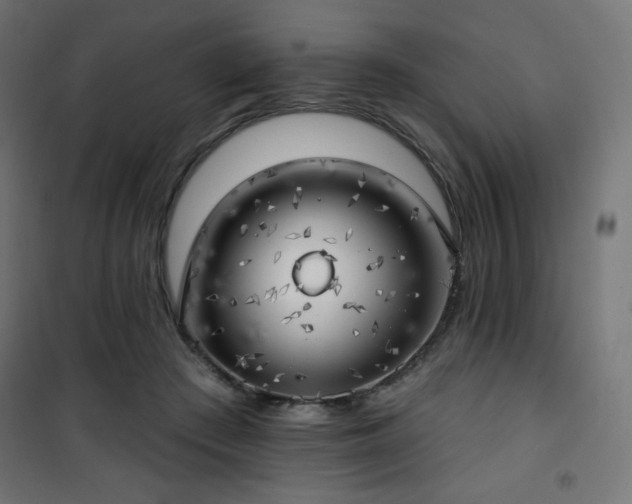 X0000101470409200807141355