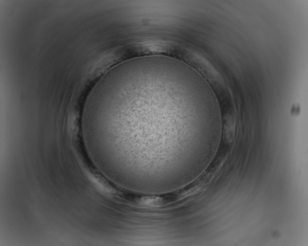 X0000101470410200807141355