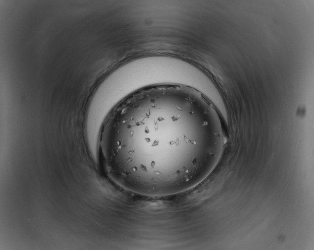X0000101470411200807141355